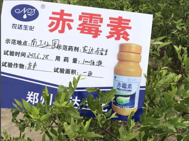 Fruit Setting Test of Nonda Gibberellin on Chinese Jujube(圖2)