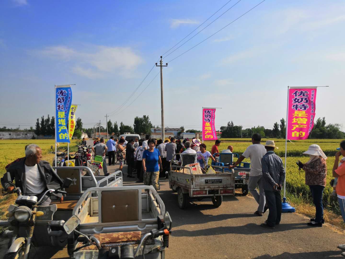 Observation on the Effect of Wheat Yield Increase of Younaite(圖4) Observation on the Effect of Wheat Yield Increase of Younaite(圖4)