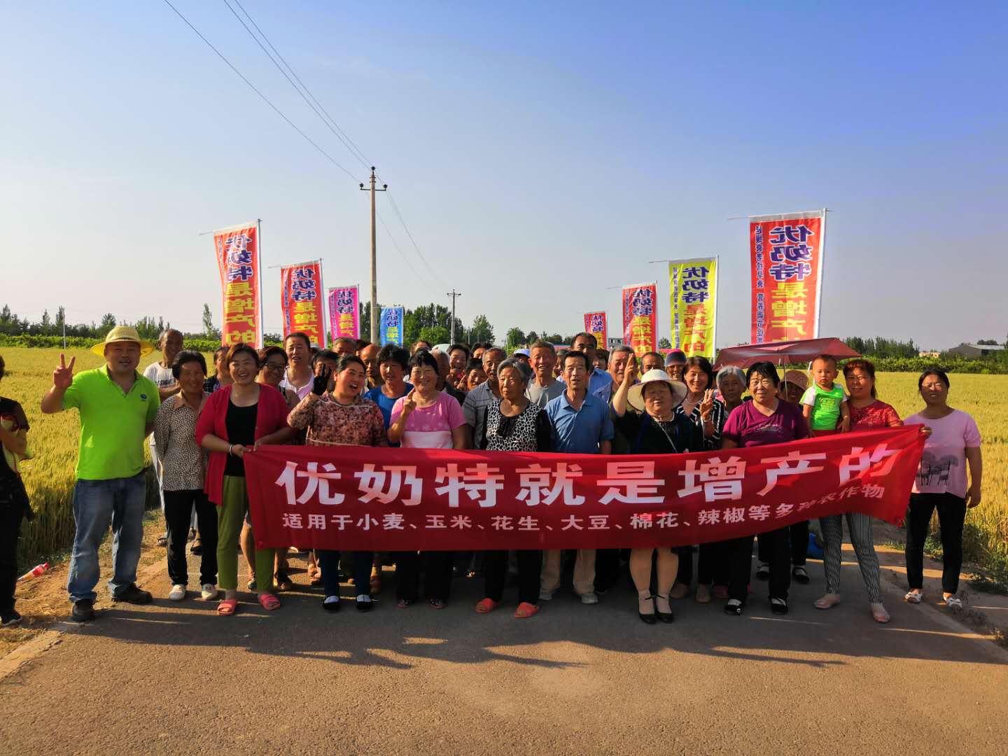 Observation on the Effect of Wheat Yield Increase of Younaite(圖1) Observation on the Effect of Wheat Yield Increase of Younaite(圖1)