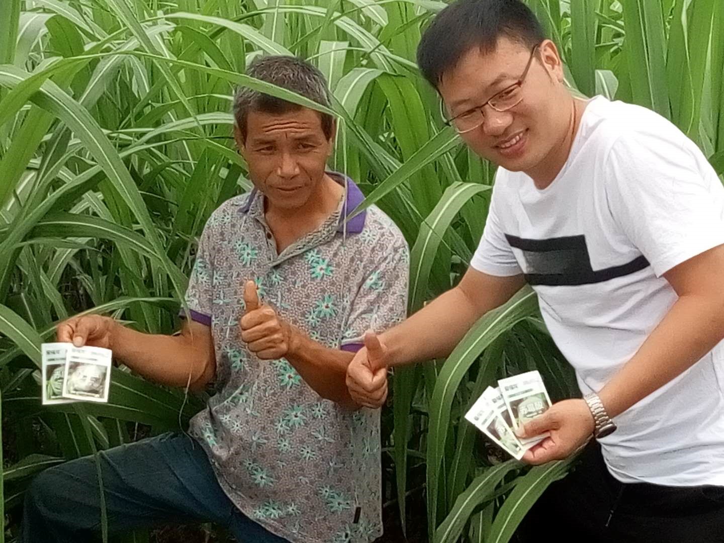 Wengyuan County Ditiantai Agricultural Products Co.,Ltd ＂Nongda 20% Gibberellic Acid Soluble Powder ＂Listing Conference(圖3)