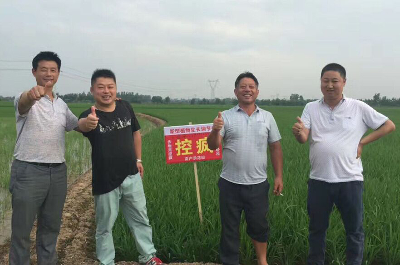 公安縣控瘋使用效果交流會(圖5) 公安縣控瘋使用效果交流會(圖5)