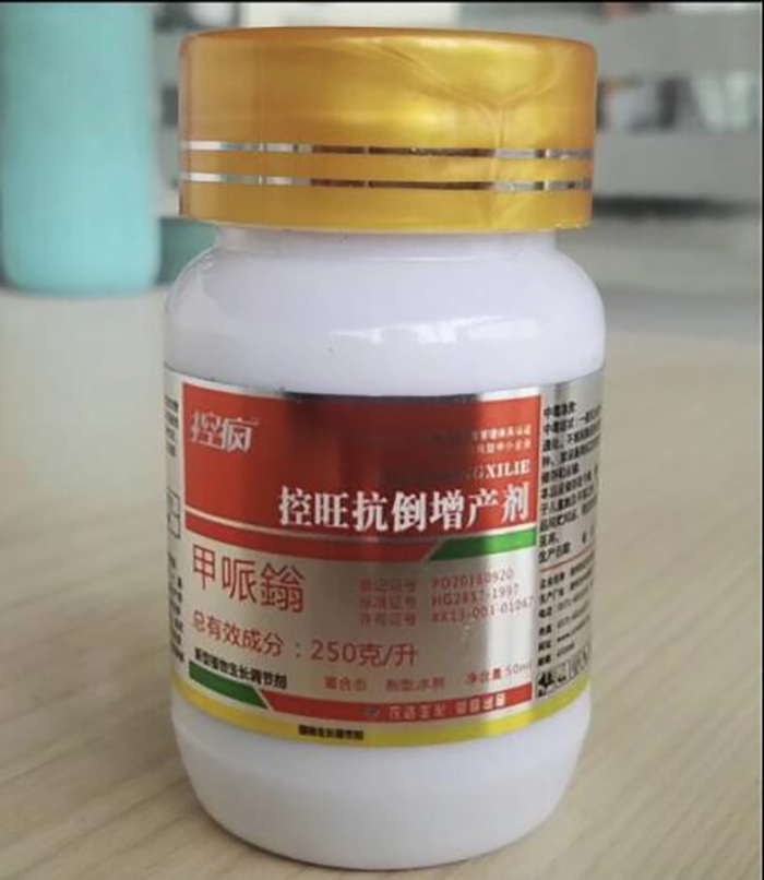 淺談控瘋在棉花上的表現(xiàn)及棉花化控技術要點(圖4) 淺談控瘋在棉花上的表現(xiàn)及棉花化控技術要點(圖4)