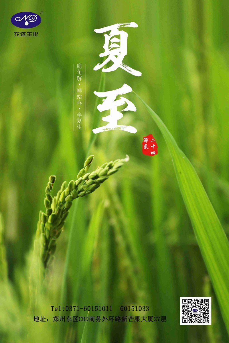 關注農時——夏至(圖1) 關注農時——夏至(圖1)