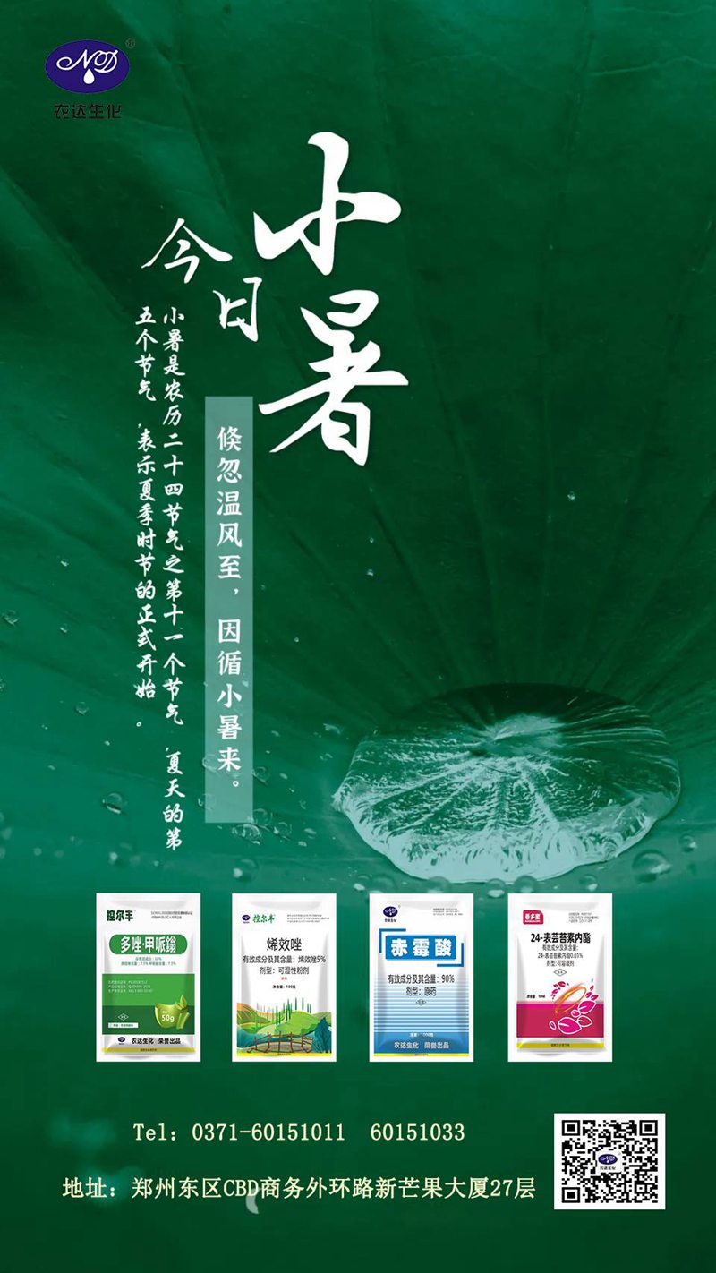 小暑話農事(圖1) 小暑話農事(圖1)