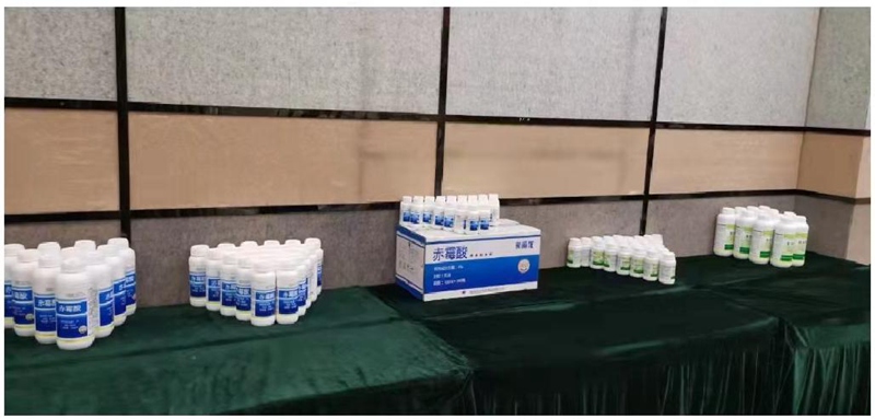 鄭州農(nóng)達(dá)生化桂林市場(chǎng)啟動(dòng)會(huì)圓滿召開(kāi)(圖3) 鄭州農(nóng)達(dá)生化桂林市場(chǎng)啟動(dòng)會(huì)圓滿召開(kāi)(圖3)