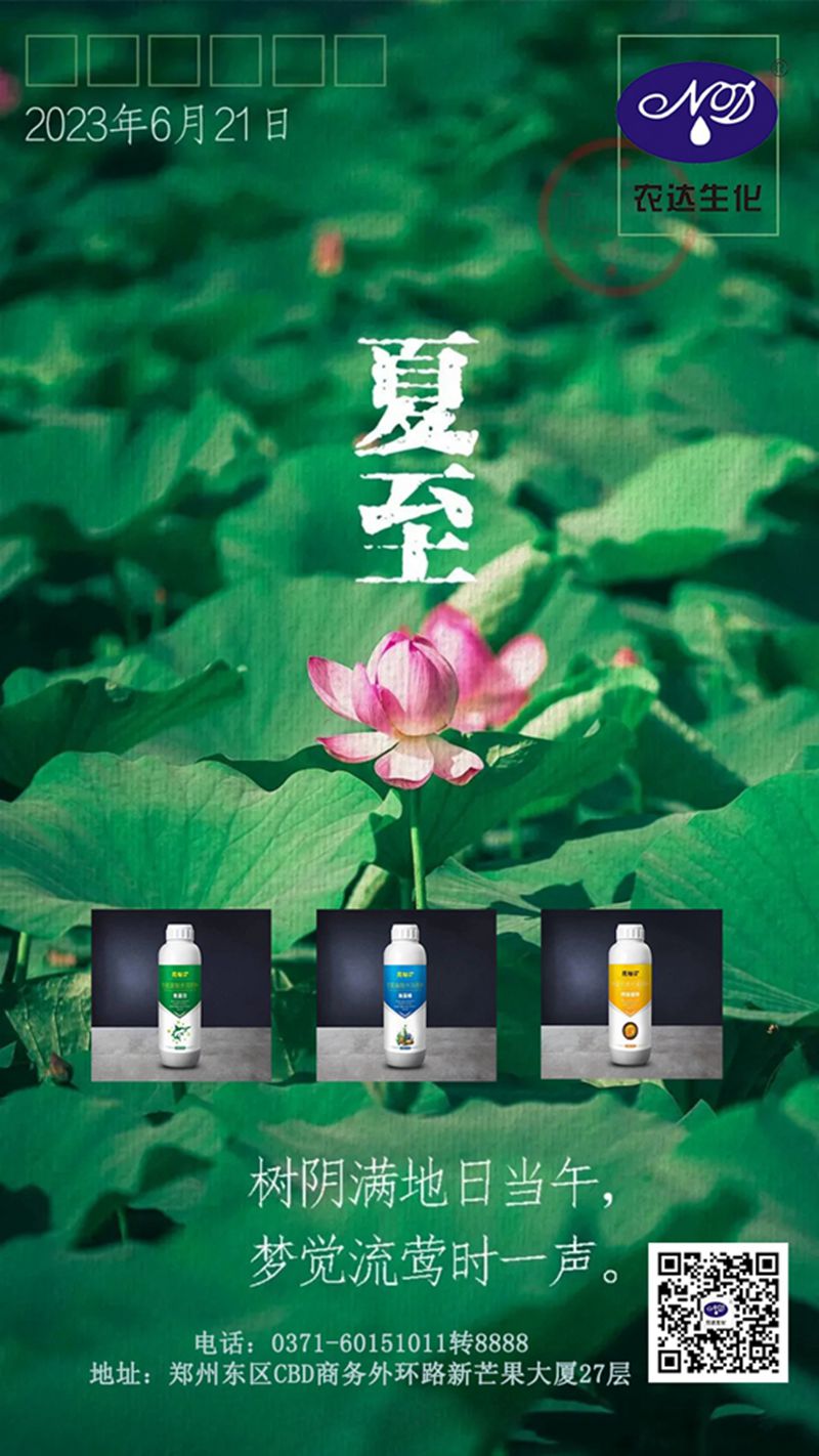 今日夏至(圖1) 今日夏至(圖1)