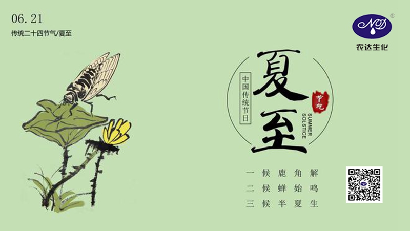 今日夏至(圖2) 今日夏至(圖2)