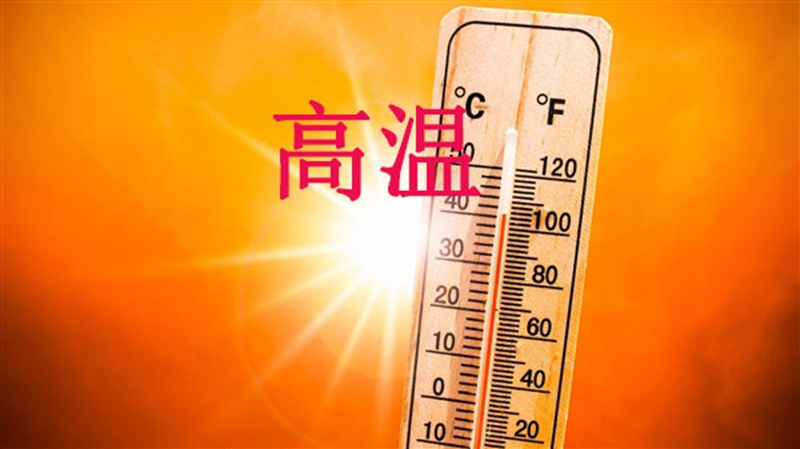 高溫天,使用農(nóng)藥注意事項(xiàng)(圖1) 高溫天,使用農(nóng)藥注意事項(xiàng)(圖1)