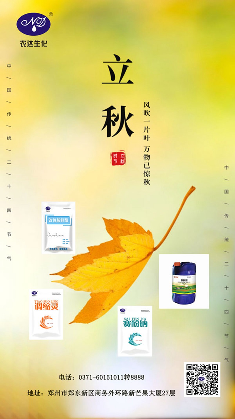 今日立秋(圖1) 今日立秋(圖1)