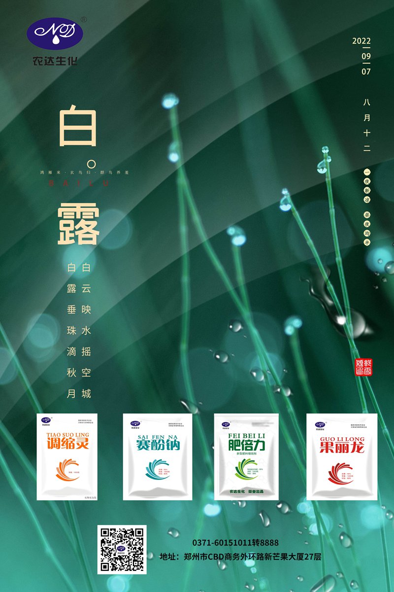 今日白露(圖1) 今日白露(圖1)