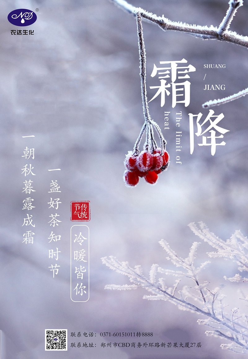 今日霜降(圖1) 今日霜降(圖1)