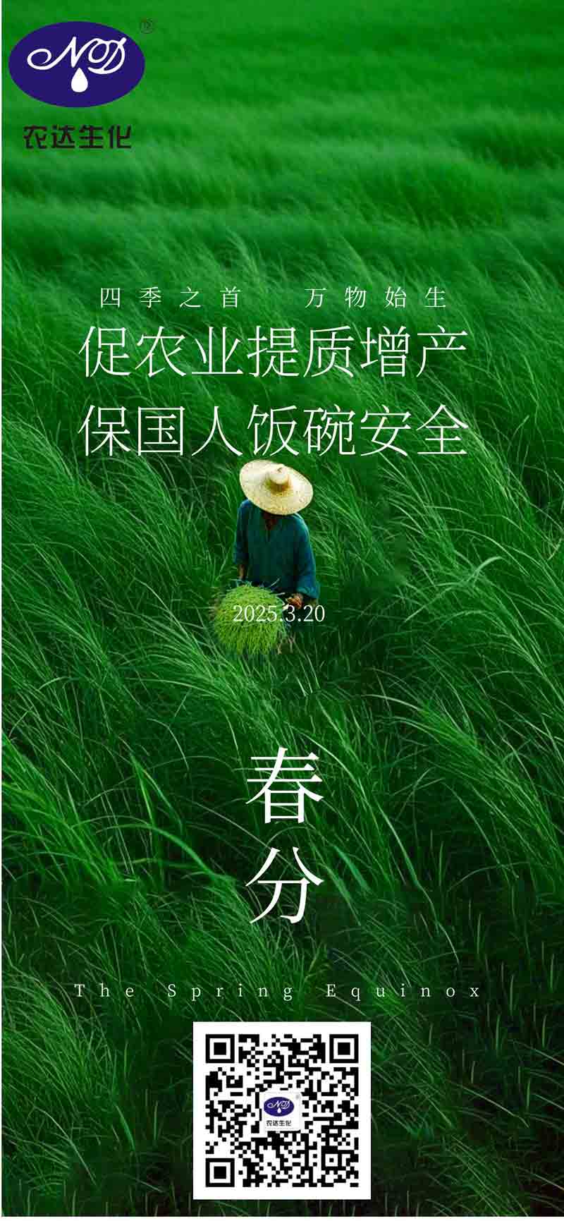 今日春分(圖1) 今日春分(圖1)