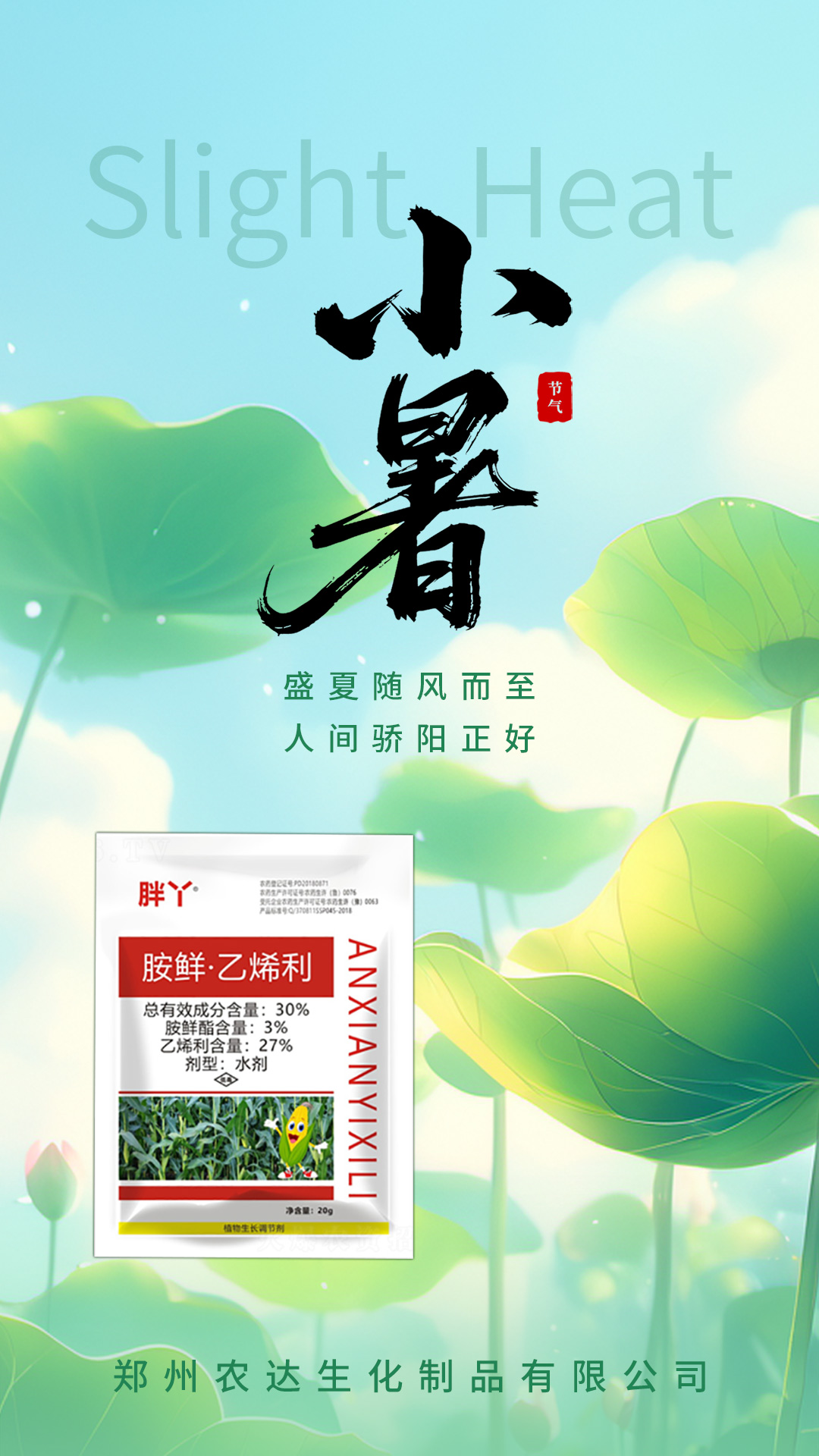 小暑(圖2) 小暑(圖2)