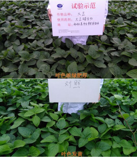 換個(gè)思路賣農(nóng)資，效果也不差！(圖1)