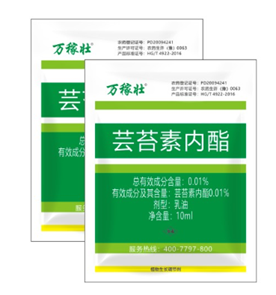 暴雨過后，應做好這些事！(圖3)