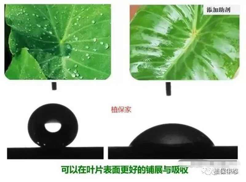 農(nóng)藥成分和含量一模一樣，為啥效果差別那么大？(圖2)